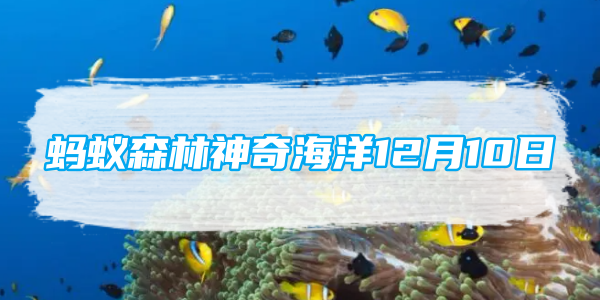 海獭主要靠什么御寒-12月10日最新神秘海洋问题答案分享